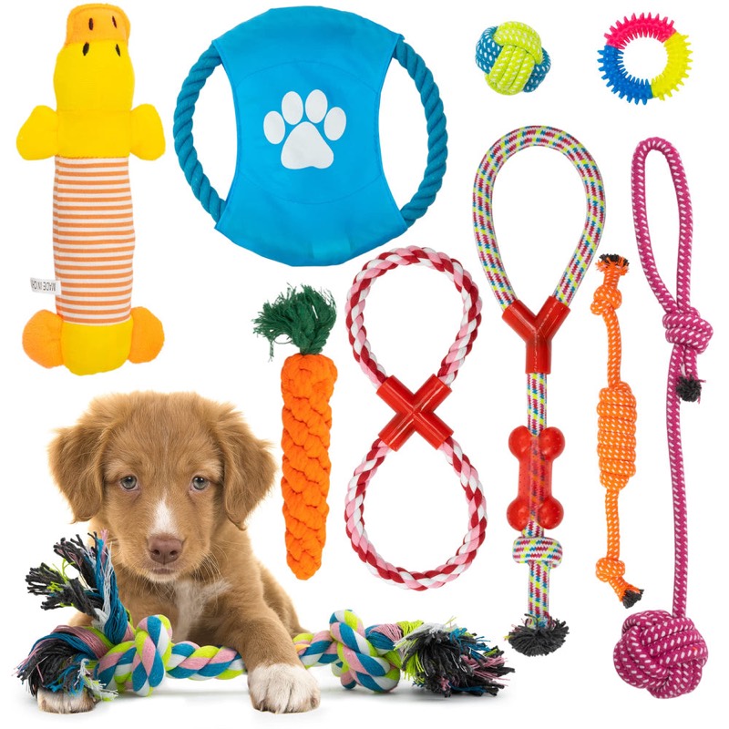 Puppy Teething Toy Set (10 pieces)