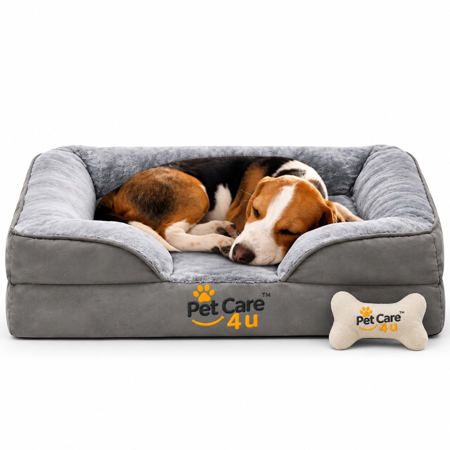 Elevated Dog Sofa Bed, 88 x 64 x 20 cm