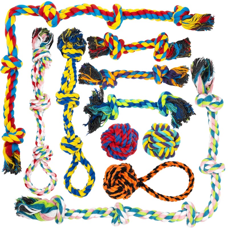 10-Piece Dog Toy Set